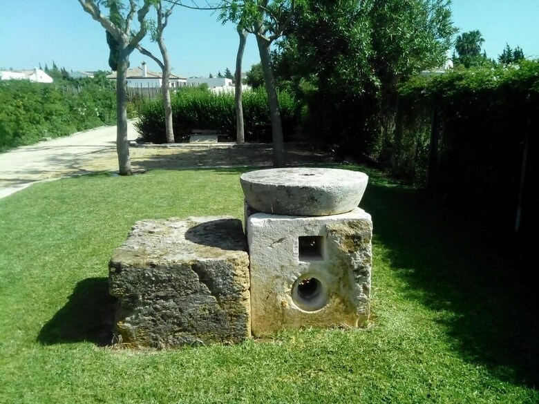 El Olivar de Roche Viejo