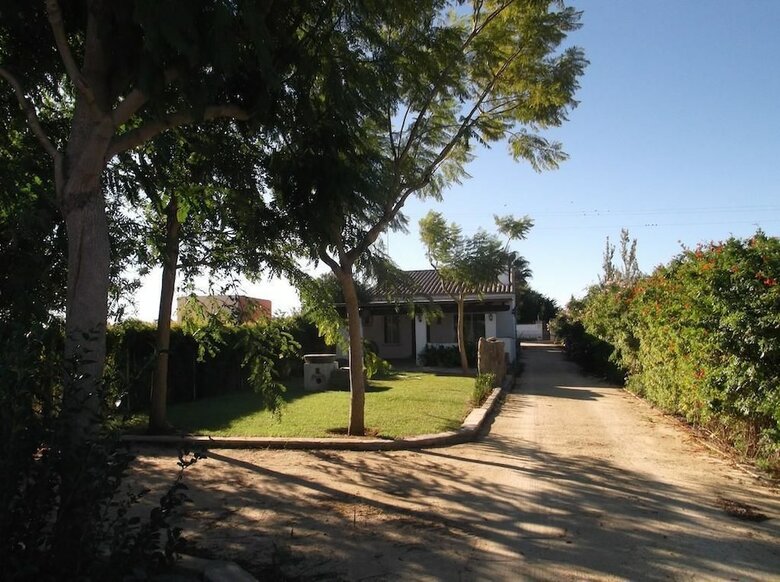 El Olivar de Roche Viejo