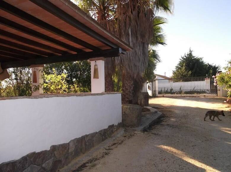 El Olivar de Roche Viejo