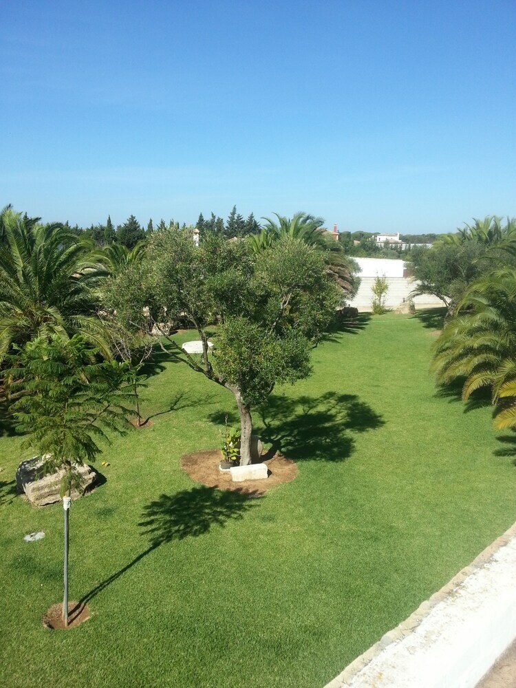 El Olivar de Roche Viejo