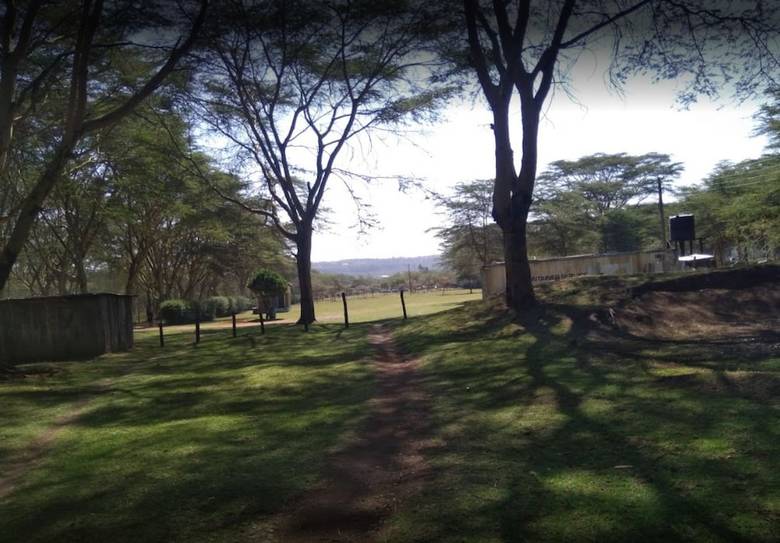 She'gadia Campsite