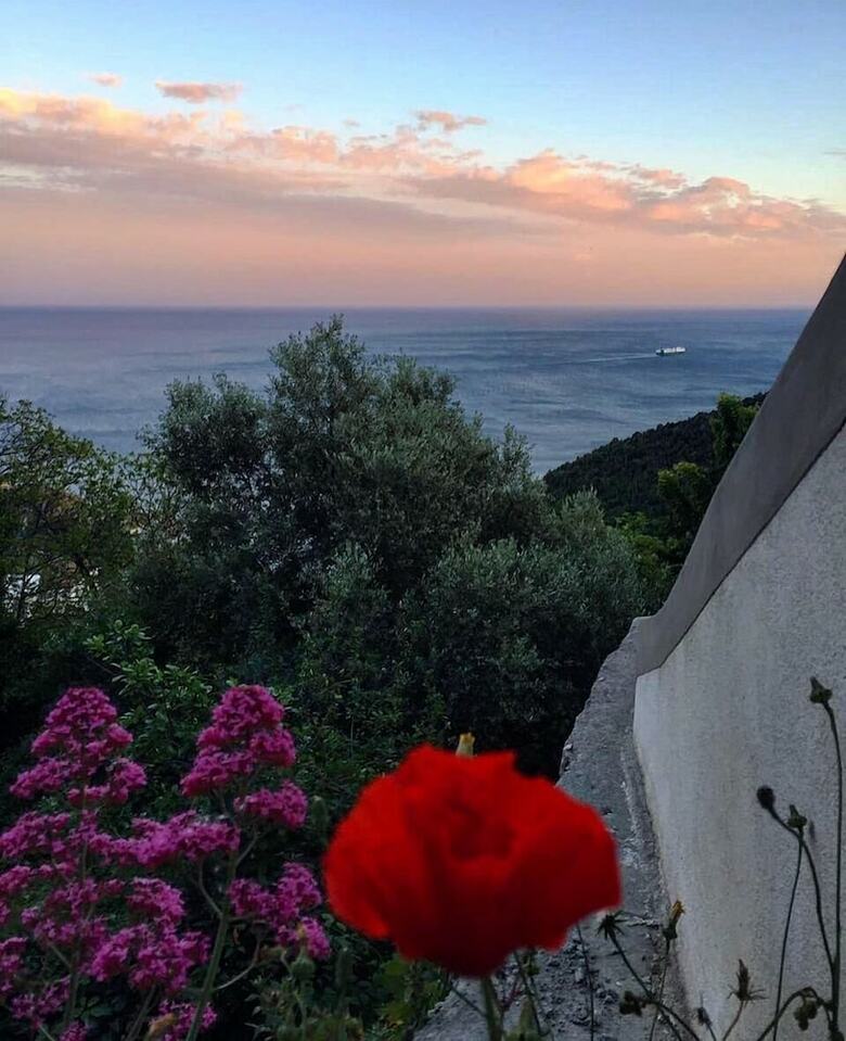 Hotel Casa Flora