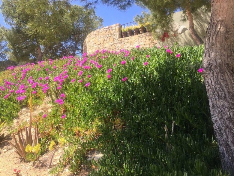 Bed & Breakfast Finca El Otero