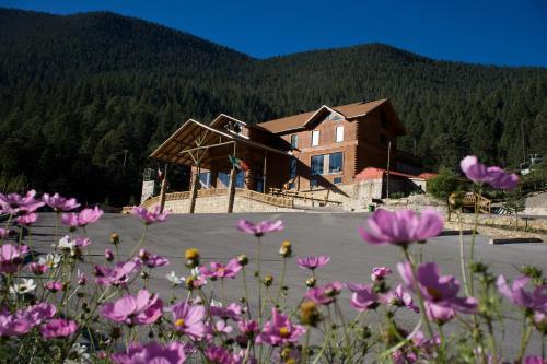 Hotel Bosques De Monterreal