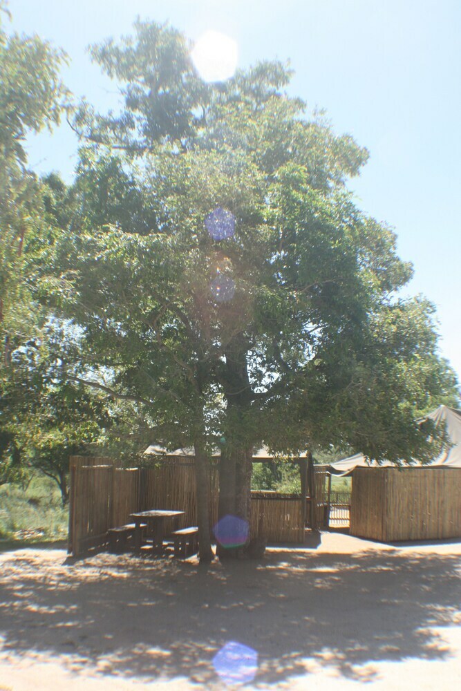 Posada Distinctly Africa - Manyeleti