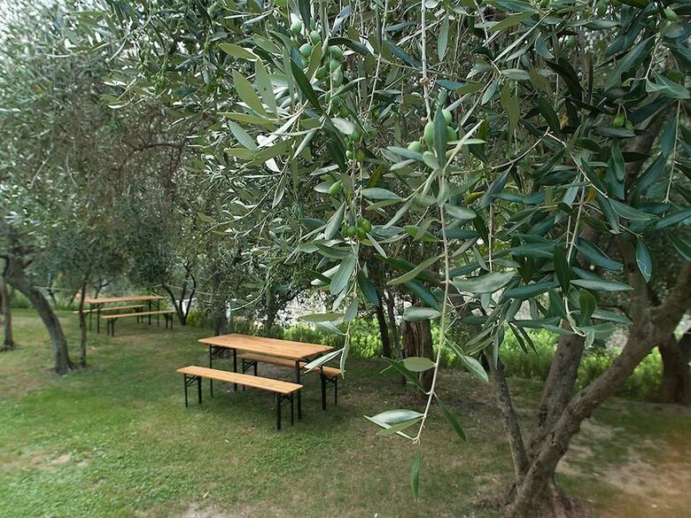 Agroturismo Agriturismo Buranco