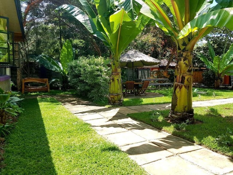 Hotel Penguin House Nanyuki