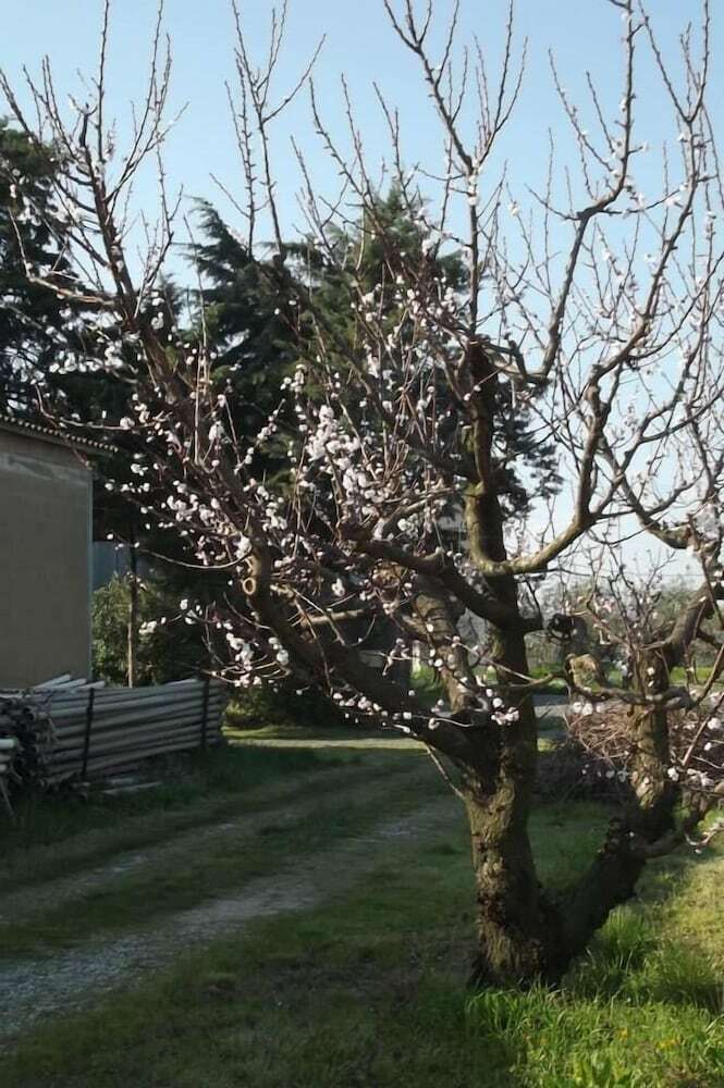 Agroturismo Agriturismo Esposito