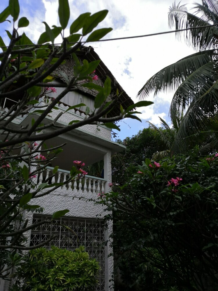 Hostal Tulia House