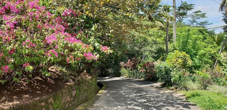 Hotel Windy Ridge Kandy