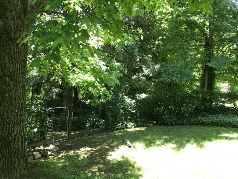 Villa Tyntynder Garden Cottage 4