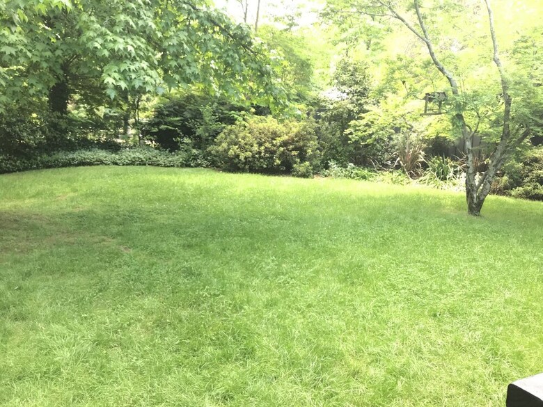 Villa Tyntynder Garden Cottage 4