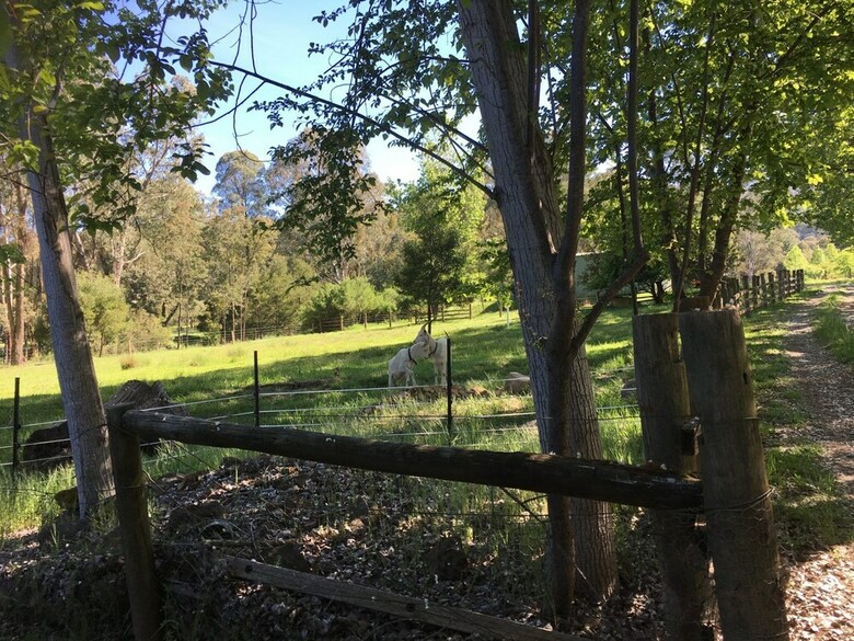 The Grange Homestead