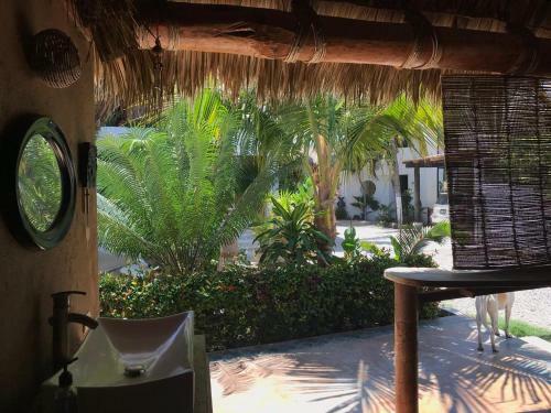 Hotel Condominio Agave Del Mar