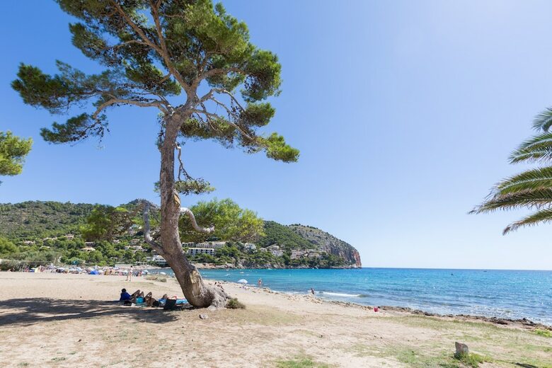 Apartamentos Oros Dona de La Mar