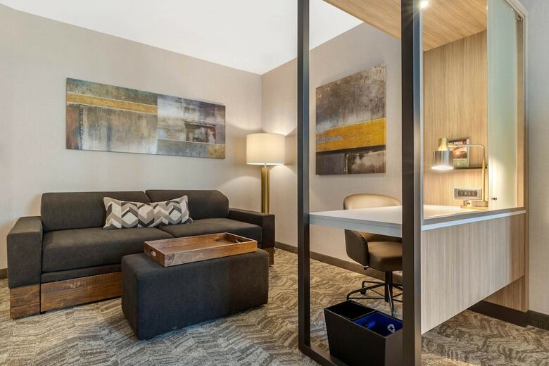 Hotel Springhill Suites By Marriott Charlotte Southwest
