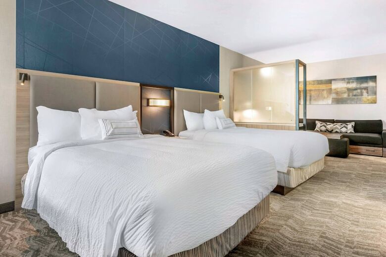 Hotel Springhill Suites By Marriott Charlotte Southwest