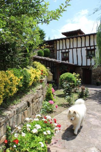 Apartamentos La Cotera