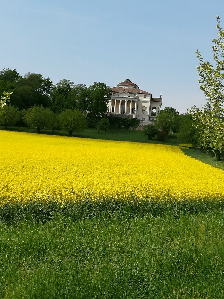 Apartamento Appartamento Palladio140