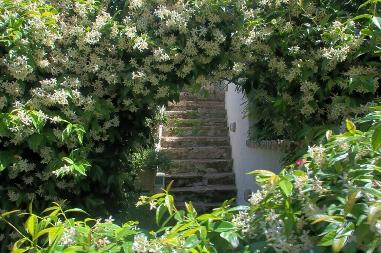 Hotel Villa La Bouganville
