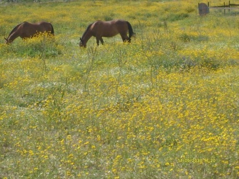 Agroturismo La Canardi�re