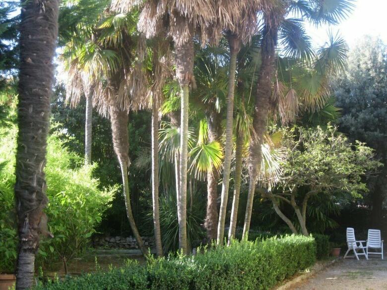 Villa Patrizia B&B