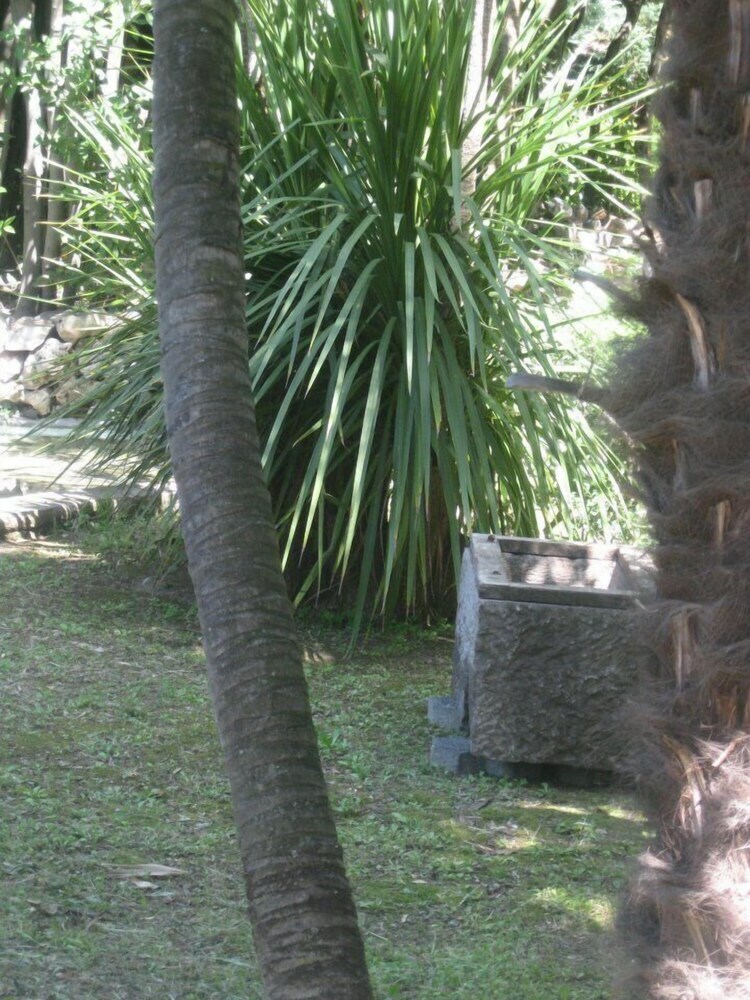 Villa Patrizia B&B