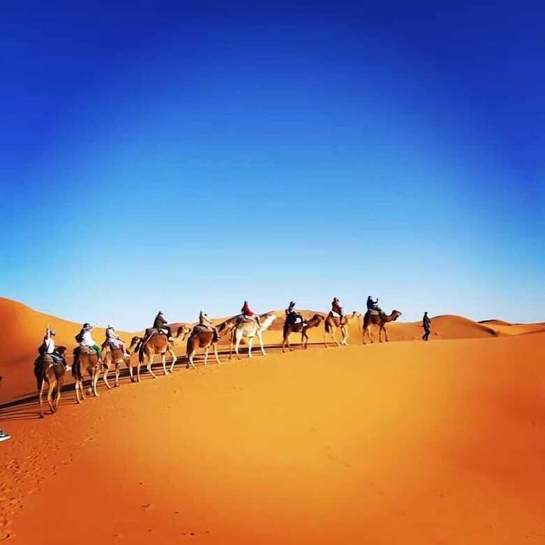 Hotel Auberge Trans Sahara