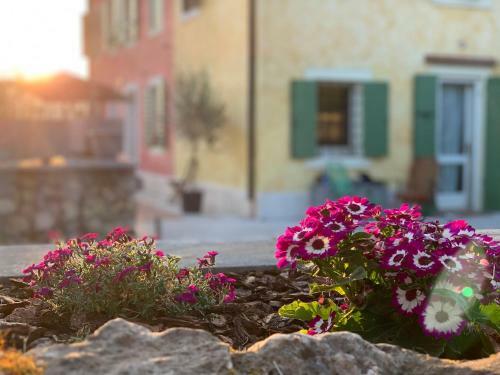 Relais Valpolicella B&B
