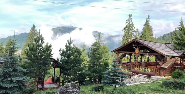 Pension Complex Turistic Alpina Blazna