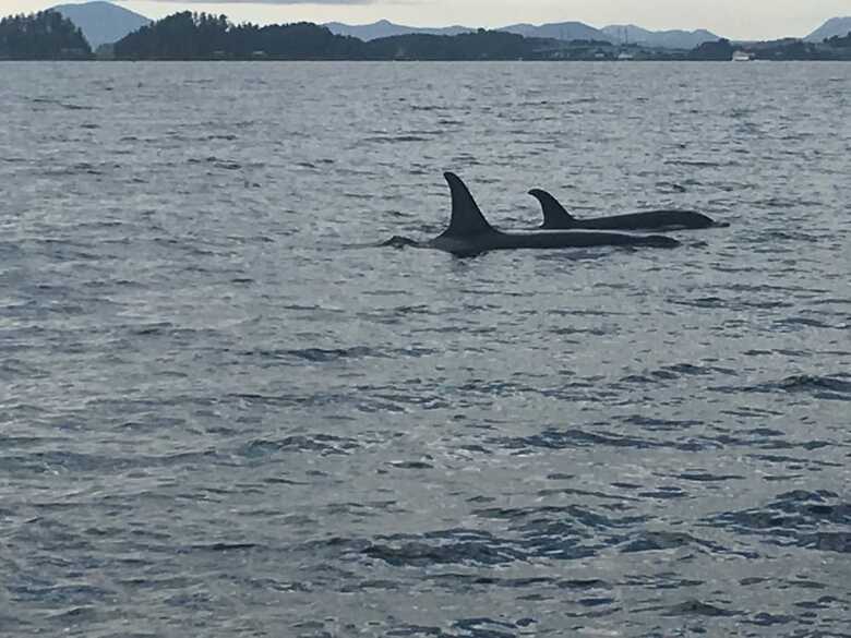 Sitka Hotel And Restaurant
