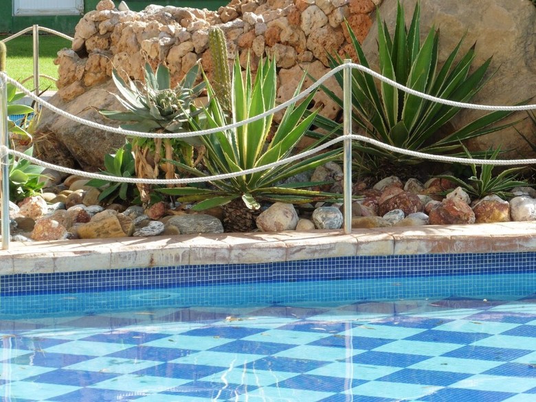 Apartamento Puerto Y Playa 7