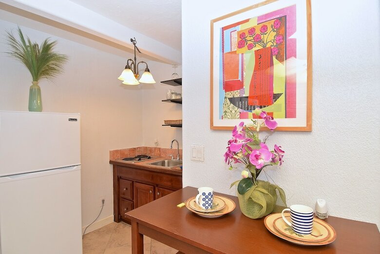 Apartamento Turtle Beach Resort And Inn