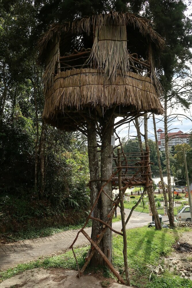 Hostal Farm Guest House