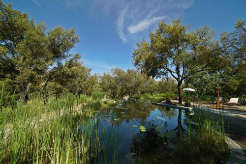 Valle Del Arroyo Casas Rurales - Bed & Breakfast