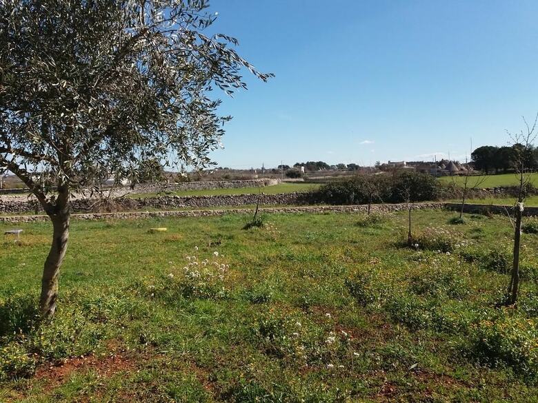 Bed & Breakfast Trulli Sotto La Cupa