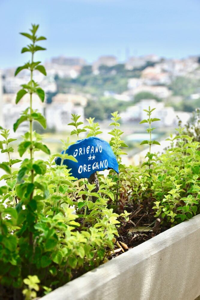 B&B Il Giardino Stellato Di Michela