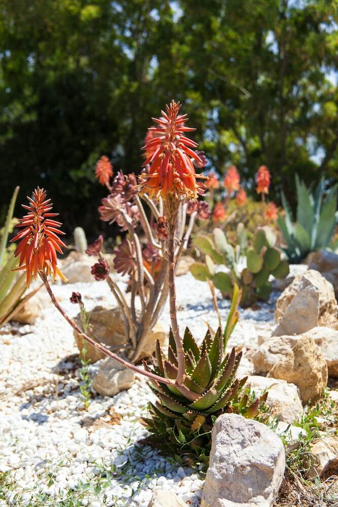 Bed & Breakfast Villa Arzilla Sardegna