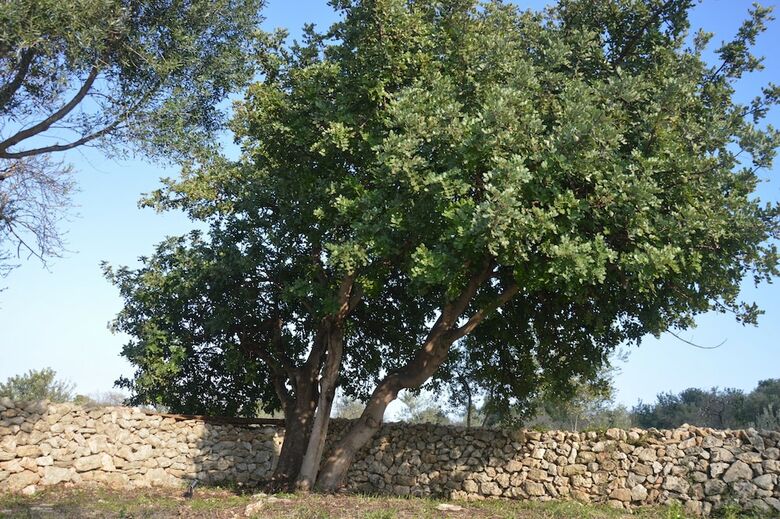 Agroturismo Terramater