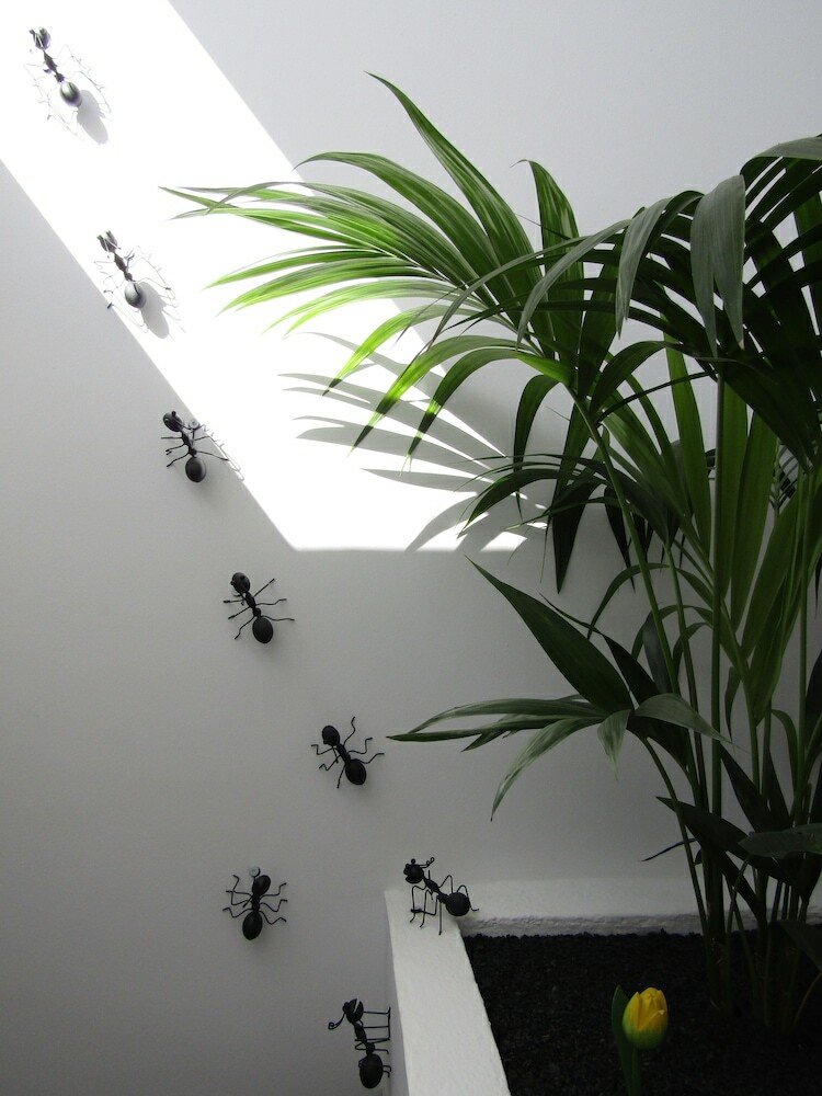 Hotel Magma Rooms