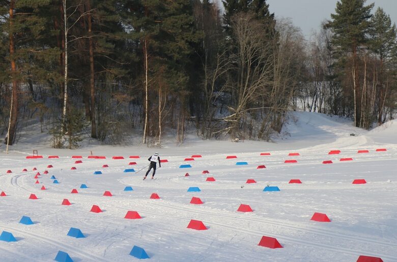 Park Hotel Grishkino