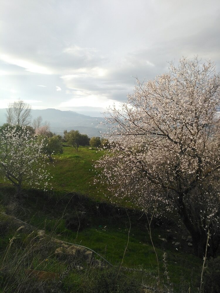 Hostal Farm Stay Ali