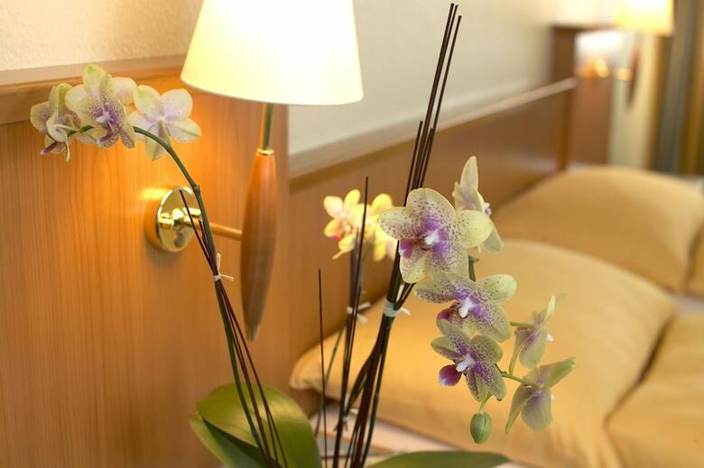 Hotel Swiss Holiday Park Resort