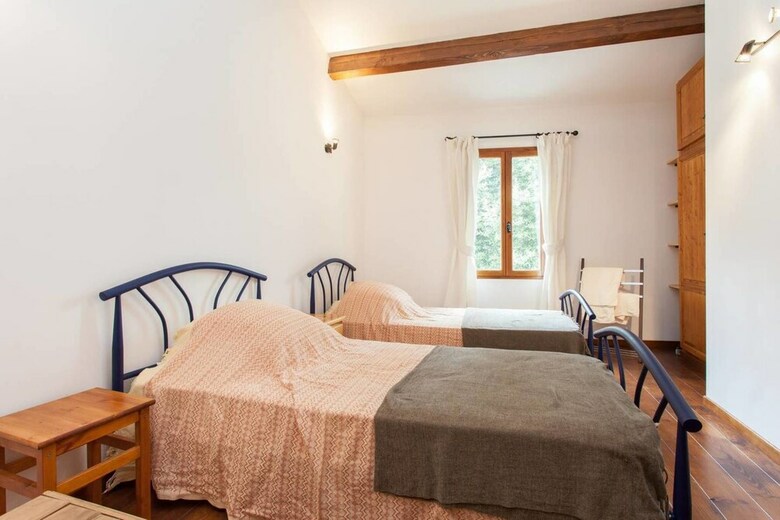 Hirondelle In Charming Village