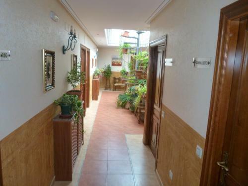 Hotel Paqui