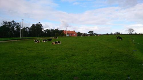 Hostal Aldea Os Mui�os