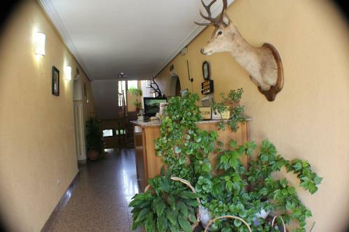 Aparthotel Las Nieves