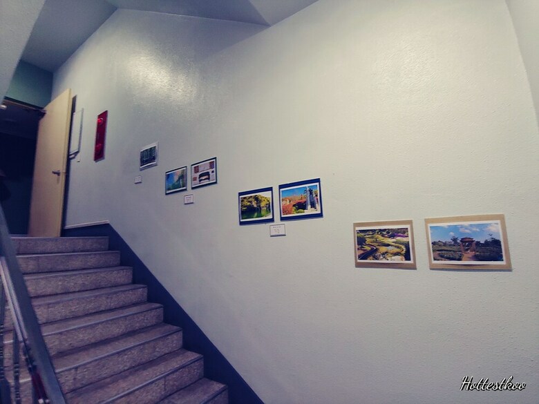 Hostal Daejeon Guesthouse Sky Garden - Hostel