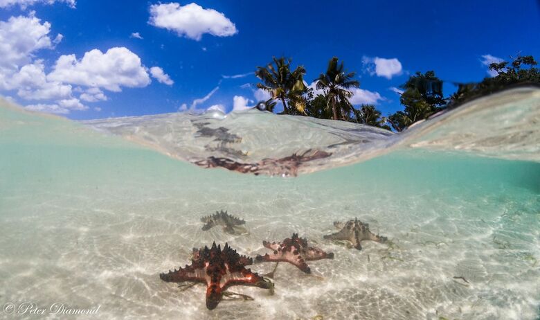 Hotel Erakor Island Resort & Spa