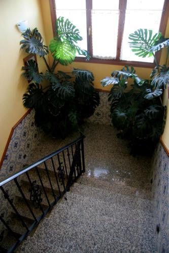 Hostal Casa Barranco